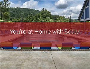 Sealy Management Company