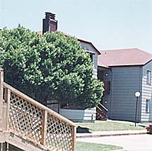 Apartment - Ashford Terrace from www.ApartmentsAlabama.com